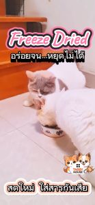 ขนมฟรีซดราย ทำจากเนื้อสัตว์แท้ สดใหม่100% ขนมแมวฟรีซดราย เกรดอาหารคน ดีต่อสุขภาพ บำรุงขน ไม่เค็ม