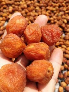 Authentic Xinjiang Specialty Dried Apricot 500g Snack ly Dried from Yili Tree No Additives Refrigerated Storage