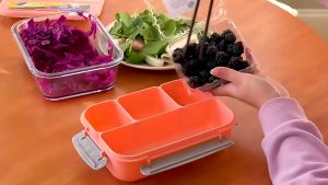 LUNCHBOX 1.25 L PERSEGI BAHAN PLASTIK/ KOTAK MAKAN SIANG WITH LUBANG VENTILASI HX 0037705