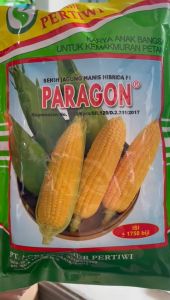 Benih Jagung Manis Paragon 1750 butir