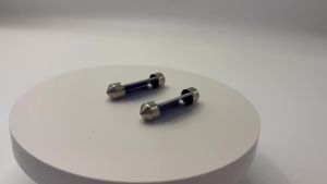 2X T10 W5W BA9S T4W Festoon Reading Car Interior Bulb C5W C10W Dome 28 31 36 39 41 MM License Plate Signal Lamp Led Light