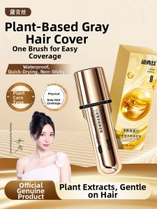 DAIQINGSI | One-Comb Coloring Hair Pen