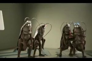 บ้านแมลงสาบ 10 หลัง/กล่อง เหนียวพิเศษ บ้านแมลงสาบ และ ดักจิ้งจก กาวดักแมลงสาบ กับ ดักแมลงสาบ ที่ปลอดภัย พร้อมส่ง ส่งเร็ว