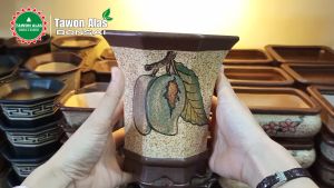 Pot Keramik Segi Delapan Tinggi: Desain Unik untuk Interior