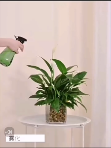 AOJN【จัดส่งในท้องถิ่นในประเทศไทย】 ขวดสเปรย์PETทนทานสำหรับการบรรจุทั่วไป