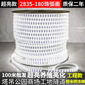 220V LED Light Strip Outdoor Waterproof White Light for Construction Site Underground Tunnel Crane Lighting