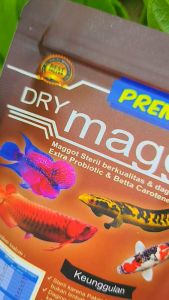 PREMIUM DRY MAGGOT Magot Kering Steril plus Probiotic & BettaCarotene