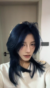 【 Ship SG 】 2025 FDA Plant Hair Dye 2 * 100ml 【 Free Gift 】: Hair dye tools hair dye hair dye products shampoo