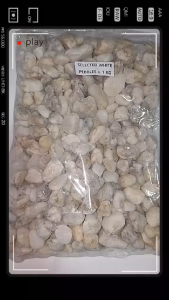 SELECTED WHITE PEBBLES - BY MICHKIO SHEN SHOP