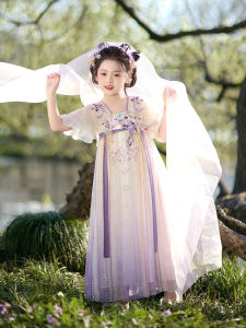 Elegant Traditional Chinese Style Girls Dress Flag Platinum Summer New Arrival Beautiful beyond Words Short Sleeve Embroidered