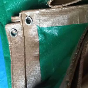 TERPAL UKURAN 2X6meter A20