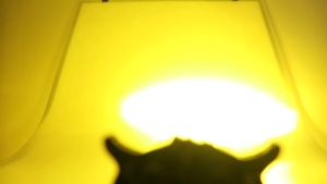 Panduan Lengkap Mengenai Lampu Sorot LED dan Lampu Tembak untuk Motor & Mobil