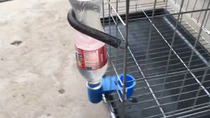 CoralCove ที่ให้น้ำนก ที่ให้น้ำไก่ ถ้วยน้ำสำหรับนก 2 ช่อง แบบคู่ พลาสติกหนา ใช้กับขวดน้ำทั่วไปได้ ใช้งานง่ายมาก