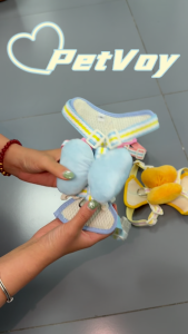 Pet Voy New Small Dog Leash & Bow Tie Vest Harness Anti-Escape Stylish Cute Bright & Tidy High Attractiveness for Small Dogs