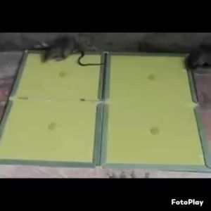 10PCS Lem Tikus Papan MOUSE GLUE TRAP Lem Jebakan Perangkap Tikus Super Glue
