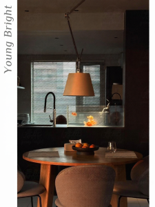 Adjustable Arm Mid-century Style Chandelier