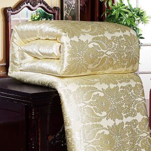 Silk Quilt 100% Genuine Goods Thickened Warm Winter Duvet Insert Double Quilt for Spring and Autumn All Cotton Air-Conditioning Duvet Single Dormitory Quilt