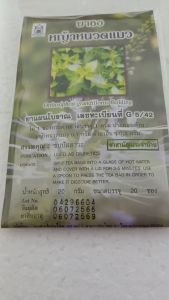 ชาหญ้าหนวดแมว สูตรไม่มีน้ำตาล - ชุดหนังสือชาหญ้าหนวดแมว สำหรับการสูตรที่ไม่มีน้ำตาล