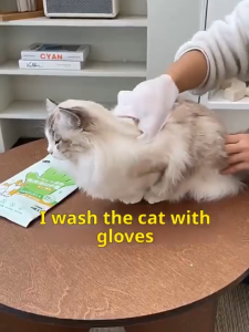 SG In Stock Pet No Rinse Cleaning Gloves 6 Pcs Dog Cat Waterless Deodorizing Grooming Wipes Gloves