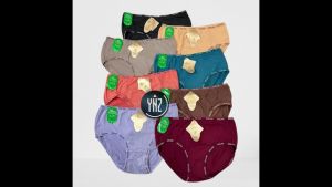 LUSINAN | Celana Dalam Wanita Premium POLINI 665 / CD Dalaman Perempuan Super Soft