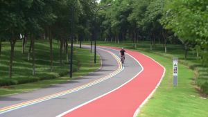 West Biking | WEST BIKING Kính Đi Xe Đạp Phân Cực UV400 Kính Râm Chống Tia Cực Tím HD Để Chạy Câu Cá Lái Xe Đạp Đường Trường MTB Thiết Bị Thể Thao Ngoài Trời
