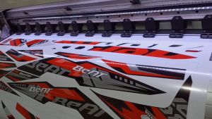 Raider Fi 150 Grunge (Customized Design) Sticker Decals