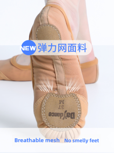 Giày Khiêu Vũ Lưới Co Giãn Nữ Nâu Camel Màu Sắc Thoáng Khí Giày Tập Luyện Mềm Giày Ba Lê Đặc Biệt Hình Đáy Móng Vuốt Mèo Không Buộc