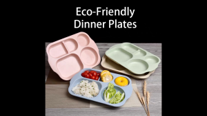 Eco-Friendly Dinner Plate - Reusable Durable and Stylish