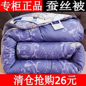 100% Silk Fiber Quilt Double Size Spring Autumn Lightweight Summer Cool Single Person Thick Winter Warm Core All Seasons Comforter