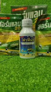 หมัดผัก ด้วงหมัดกระโดด แมลงปีกแข็ง ตัวกระเจ๊า ด้วง หมัดผัก คะน้า กวางตุ้ง กะหล่ำ กำจัดเรียบ ด้วงหมัดแถบเหลือง ตายชัวร์ 💥