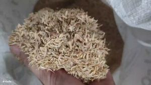 แกลบ แกลบดิบลดกลิ่นในคอกไก่ 1 กระสอบ (5 กิโล) แกลบใหม่แห้ง สะอาด