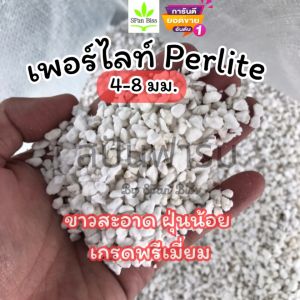 เพอร์ไลท์ Perlite เกรด A ฝุ่นน้อย 4-8มม วัสดุปลูกต้นไม้ ผู้ชาย วัสดุที่เพาะปลูก เพิ่มความโปร่ง เพิ่มออกซิเจนดิน เพอร์ไลท์ เพอร์ไลท์ หินเพอร์ไลท์
