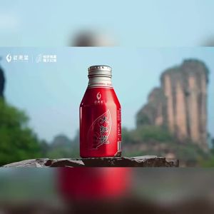 WUYIXING | Strong Fragrance 0 Sugar 0 Calorie Original Leaf Extracted Tea Beverage