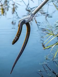 1.2m Tay Cầm Kẹp Rắn Có Thể Gập Lại 1.2m Dụng Cụ Bắt Rắn Bò Sát Kẹp Bắt bò sát ngoài trời HOME