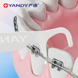 Yandy | Fluoride Containing Double-line Tooth Floss Pick