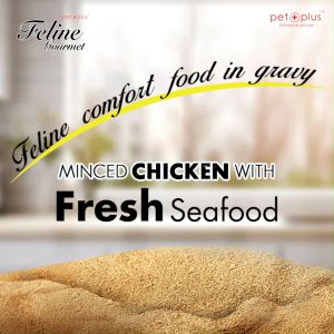 Feline Gourmet in Pouch