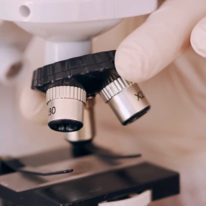 ProNex Probiotics 10 Billion CFU 500mg 10 capsules Daily Digestive & Gut Support Improve Bowel Health EXP 05/26