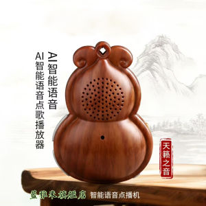 New 2025 Voice Control Card Insertion Music Player Sleep Aid Lightened Heart Music Portable Audio Player Digital Display