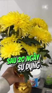 Nước Dưỡng Hoa Tươi Lâu DrNatro Kéo Dài Tuổi Thọ Của Hoa Từ 7 đến 15 Ngày - Dung Tích 300ml ( Tặng 1 gói nhuộm màu hoa ) Làm Sạch Nước