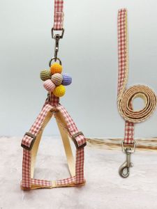 Vest Type Dog Leash & Small Dogs Chest Strap: A Guide for Teddy Corgi Puppies