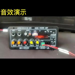 Chất lượng âm thanh HD 220V 12V kỹ thuật số bảng khuếch đại Bluetooth Loa siêu trầm micro D10