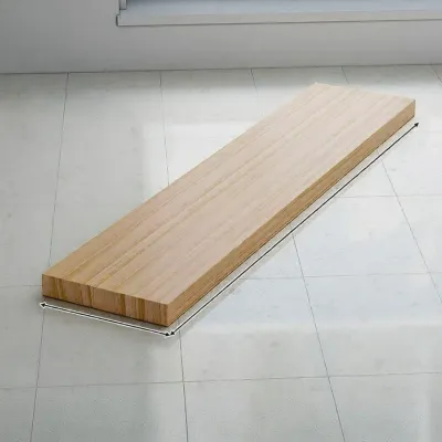 SHANNAIER | Foldable Wall Mounted Table