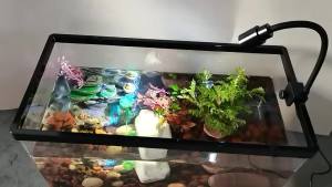 South American Aquascape LED Spotlight 3W Energy Saving Fish Tank Light for Aquarium Decor