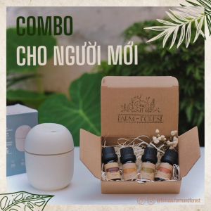 COMBO Tinh Dầu Cho Người Mới Bắt Đầu | Bộ 1 Máy Xông 4 Tinh Dầu 5ml | Oải Hương Tuyết Tùng Thông Cam | Thư Giãn