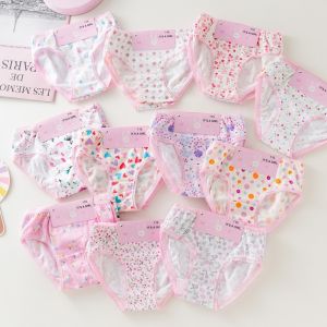 กางเกงในเด็กผู้หญิง กางเกงชั้นใน 2-4-7-11ผ้าฝ้าย พิมพ์ลายลูกไม้ คละสีคละลายใน สําหรับเด็กผู้หญิง ใส่สบาย ระบายอากาศดี ลายการ์ตูน lzboi_10.th