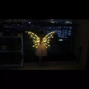 Girls Electrical Butterfly Fairy Wings With Music And Lights Glowing Shiny Moving Dress Up