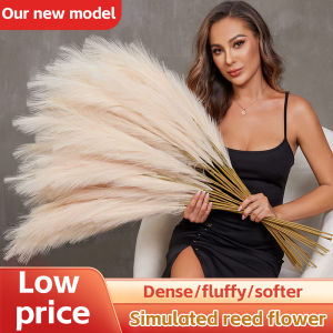 12PCS fluffy artificial Pampas grass artificial flower 56cm long stem Pampas grass branch wedding home decoration