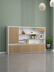 Lockable Office Storage Cabinet