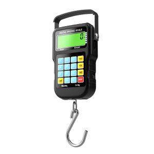 High Precision Portable Scales 50kg Kitchen Tools for Buying Vegetables Street Vendors with Ruler Multi-Function Luggage Scales