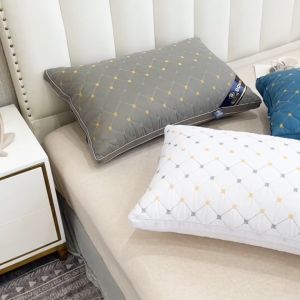 BUY 1 TAKE 1High Quality Queen Size Five-star Hotel Home Pillow Soft 100% Cotton Fabric 19x29 Inch